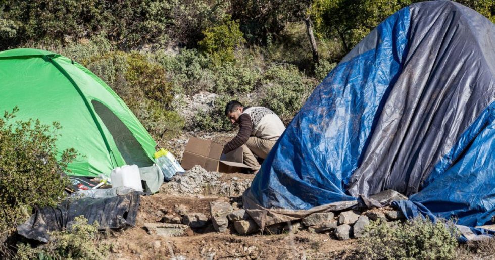 Καταδίκη για τη «ζούγκλα»